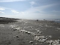 foto 198